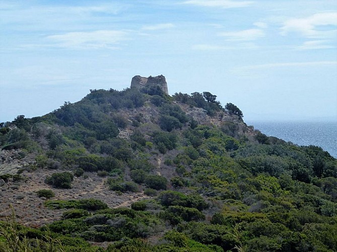 La Tour Génoise de Rondinara