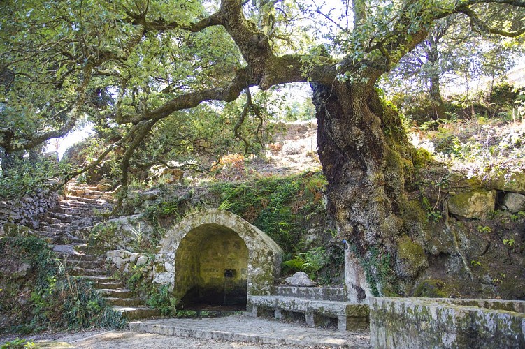 À la découverte du patrimoine de Carbini sur les traces d'i "Ghjovannali"
