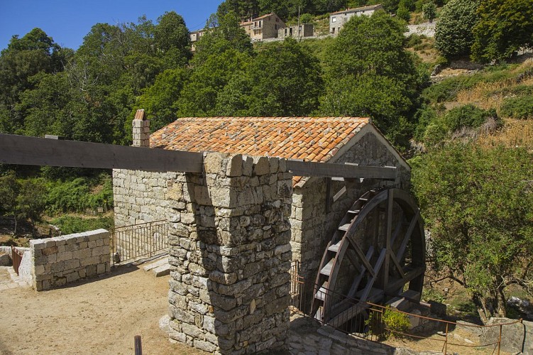 Serra di Scopamena : découvrez l'histoire pastorale corse