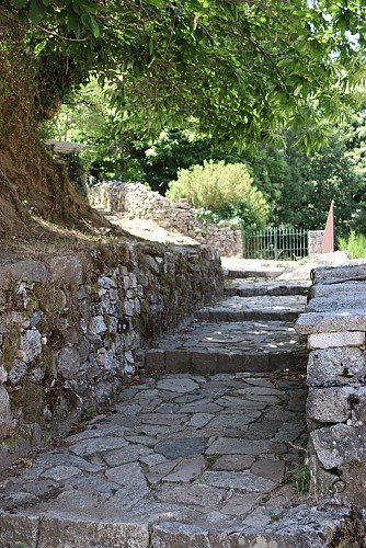 Serra di Scopamena : découvrez l'histoire pastorale corse