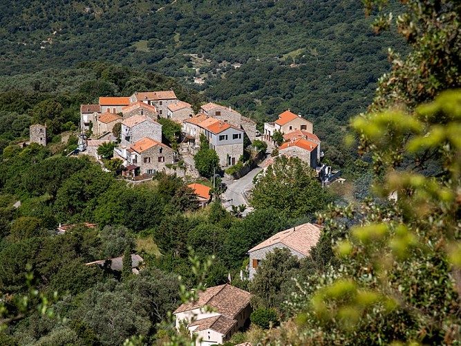 Le sentier du patrimoine de Sainte Lucie de Tallano : une promenade immersive dans l'histoire corse