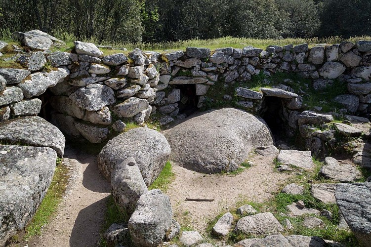 Le site de Cucuruzzu