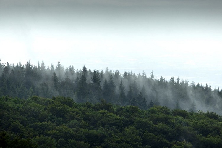 GR®653 la Voie d’Arles vers Saint-Jacques de Compostelle