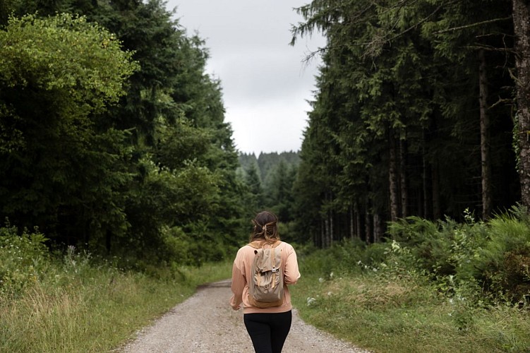 GR®653 la Voie d’Arles vers Saint-Jacques de Compostelle