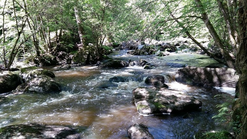 Gîtes de la Gartempe - Le Saint Rémy