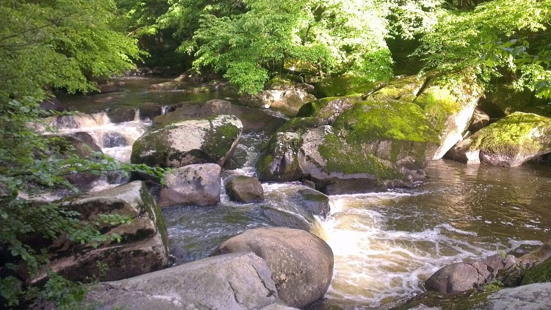 2016 05 15 La Brame (11).jpg_8