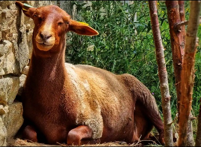 retouches photos Tourinsoft - 9