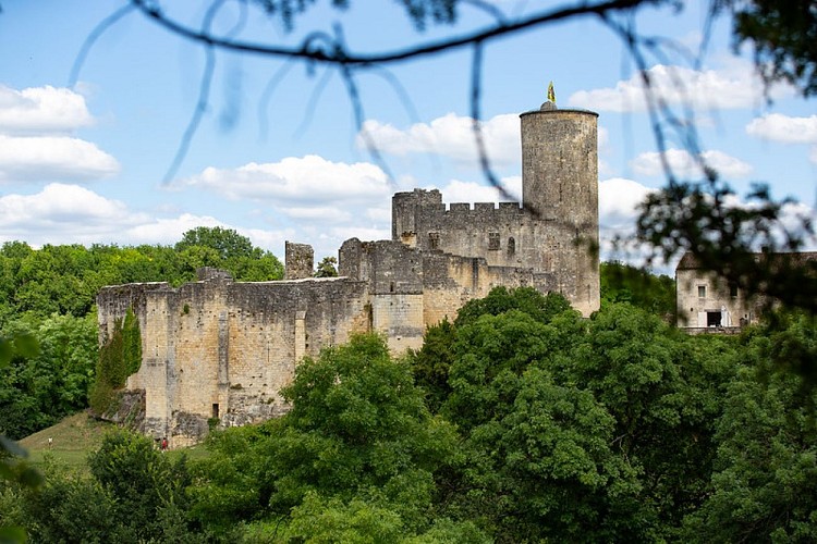 Château de Rauzan