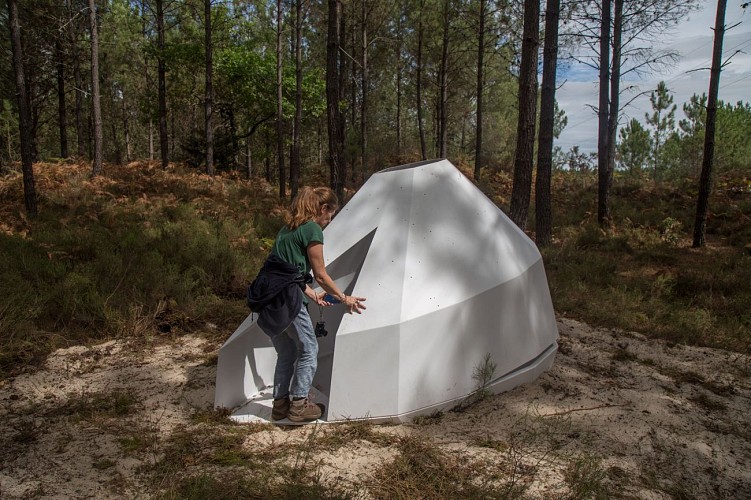 oeuvre 26 Delphine Gigoux Martin, La constellation de Cazalis, Cazalis 2022. programmation JF Dumont (4)