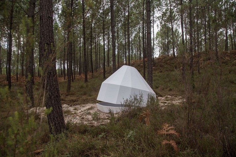 oeuvre 26 Delphine Gigoux Martin, La constellation de Cazalis, Cazalis 2022. programmation JF Dumont (6)