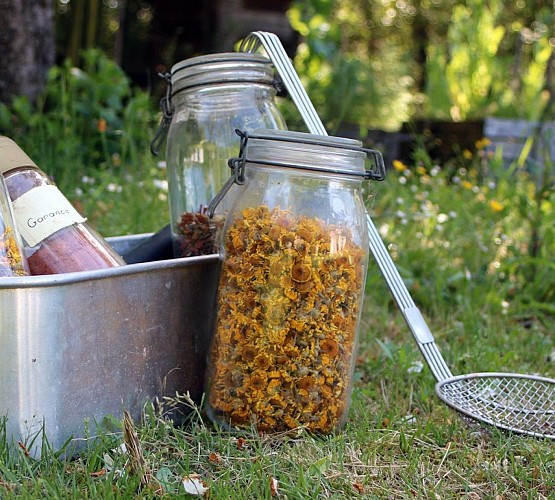 Baolin teinture vegetale stage