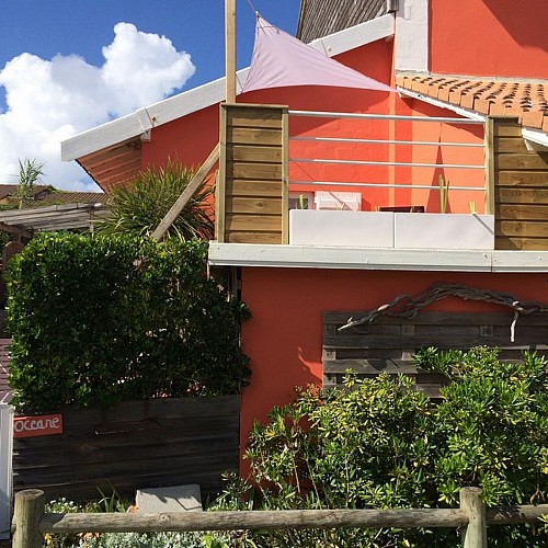 2024_amion_oceane_2 (Copier)