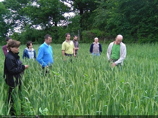 Centre agricole Michamps