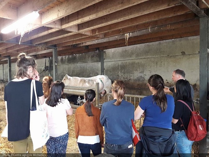 Centre agricole Michamps