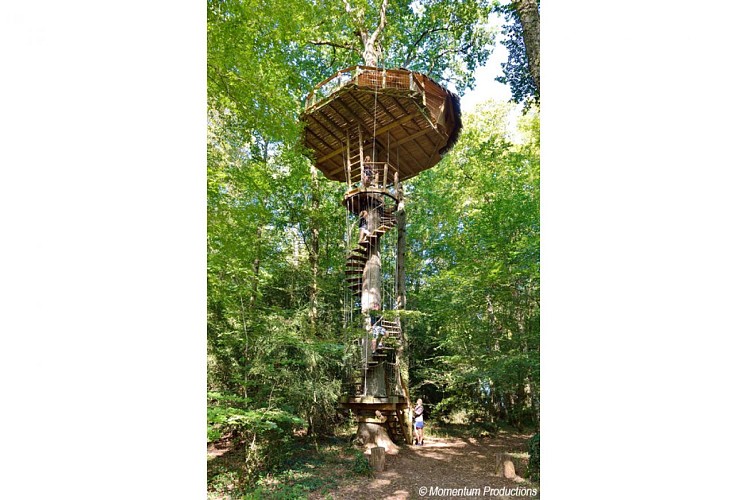 Cabane de la Canopée - Parc de la Belle