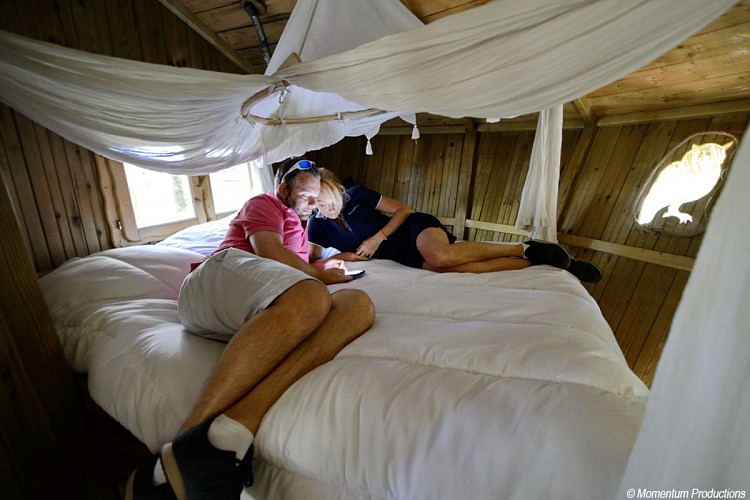 Cabane de la Canopée - Parc de la Belle