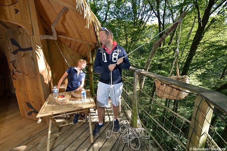 Cabane de la Canopée - Parc de la Belle