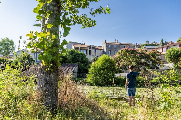 Montfaucon Montigné
