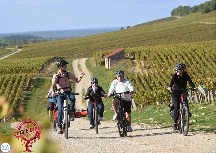 Promenade en groupe dans l'Auxerrois