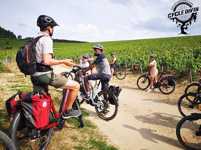 Explication dans les Chablis grand cru "Vaudésir"- Cycle Divin