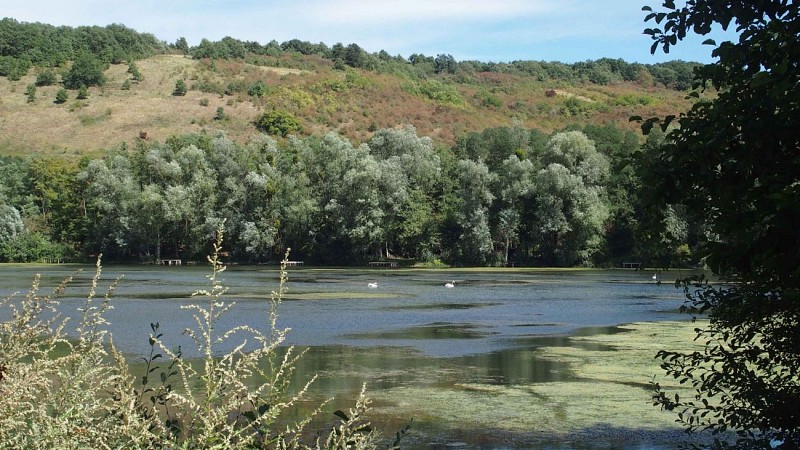 Plan d'eau de Villeneuve-sur-Yonne