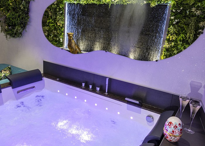 Balnéothérapie -Salon Tropical