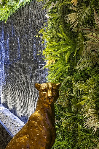 Mur d'eau - Espace Tropical