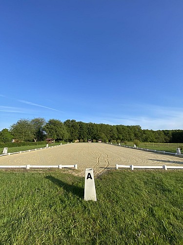 Carrière de dressage