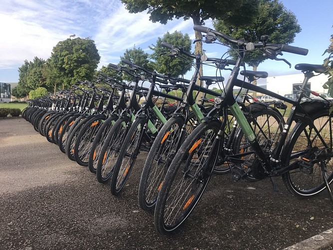 Allignement vélo pour séminaire à Chablis