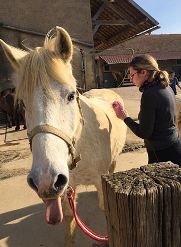 Ecurie de la Fontaine