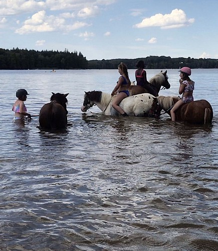 Ecurie de la Fontaine