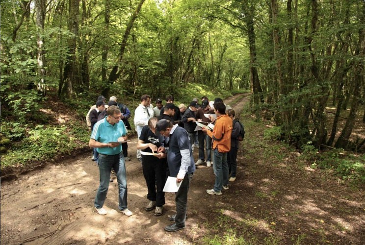 Course d'orientation