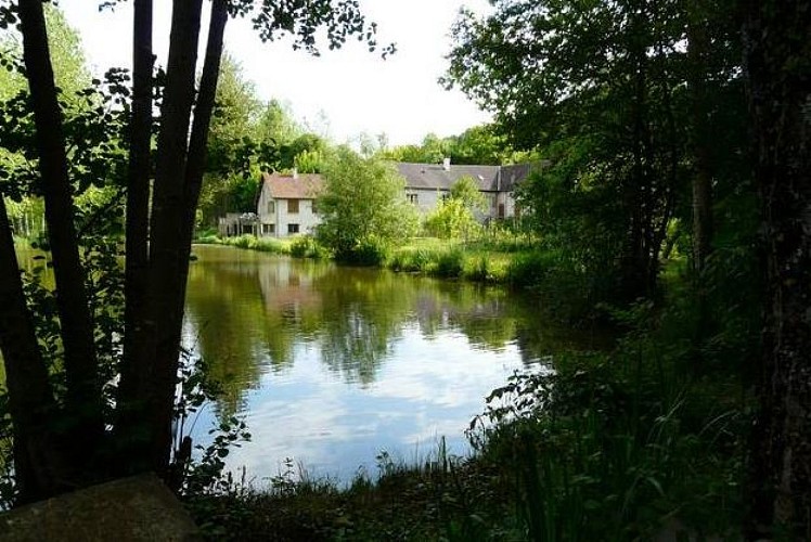 Domaine du Moulin Rouge_pêche