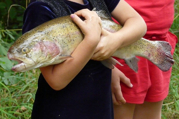 P1120855Domaine du Moulin rouge