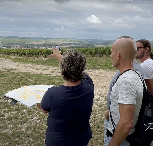 Chablis Vititours