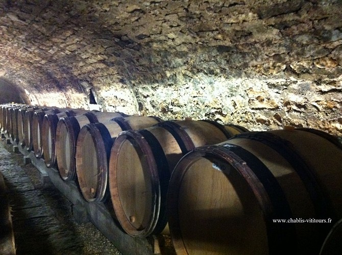 cave chablis - Chablis Vititours 