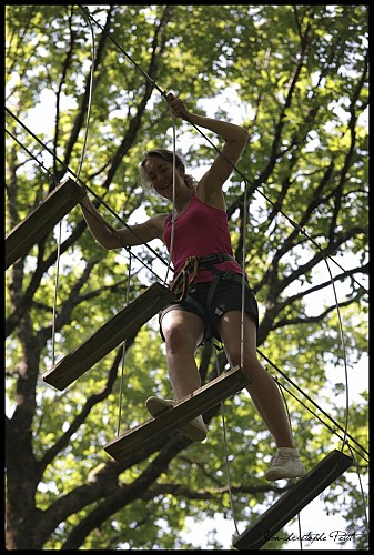 IMG_2737 [1600x1200]