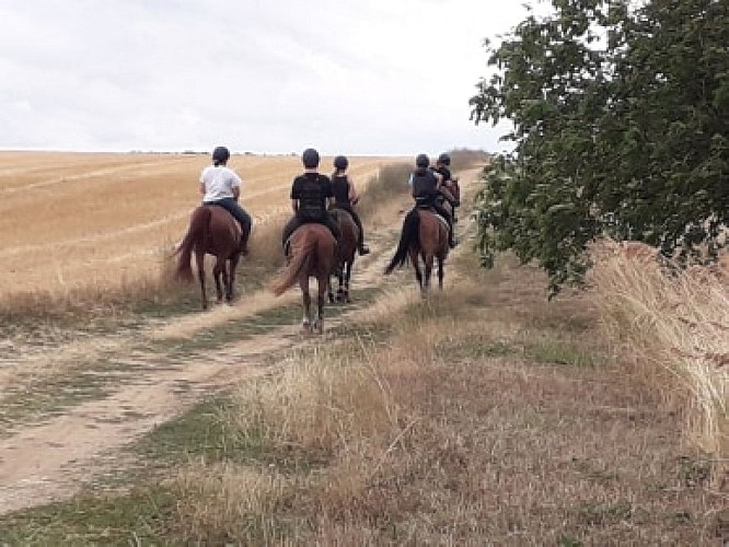 78169173-1328975817274864-4839580466371624960-n