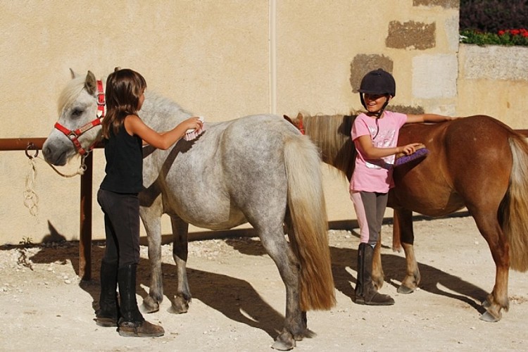 A PONEY APRÈS 1 REPRISE CATASTROPHE