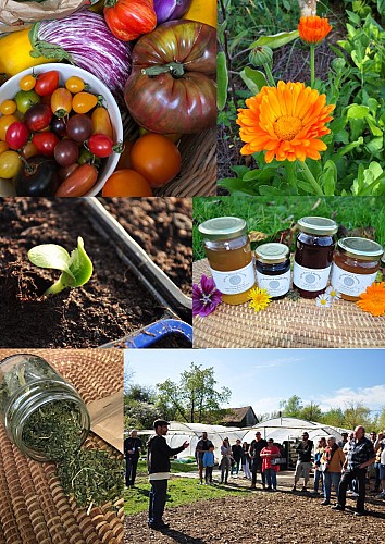 jardin-des-thorains-lavau-puisaye