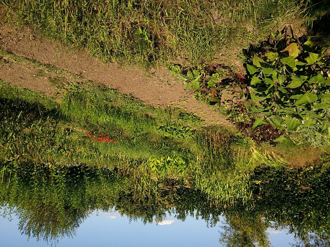 LE JARDIN DES 5 SENS