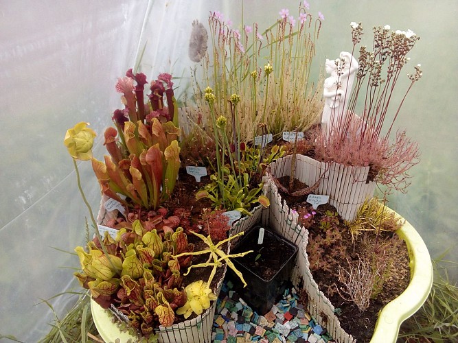 LE JARDIN DES 5 SENS