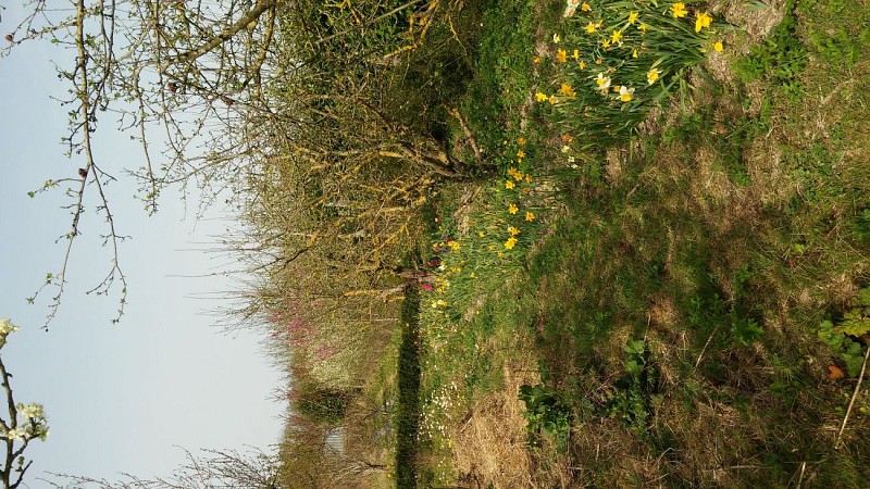 LE JARDIN DES 5 SENS