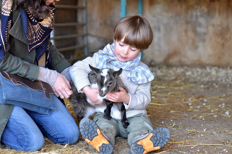 La Ferme de Flo