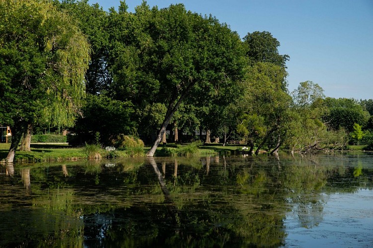 Parc du Moulin de Préblin