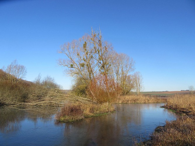 MARAIS DE LA VALLÉE DE LA DRUYES
