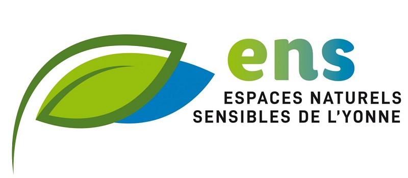 Logo ENS couleur HORIZONTAL03