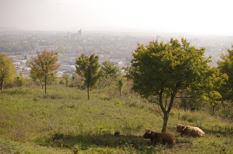 ZONE NATURA 2000 DE SAINT-MARTIN-DU-TERTRE