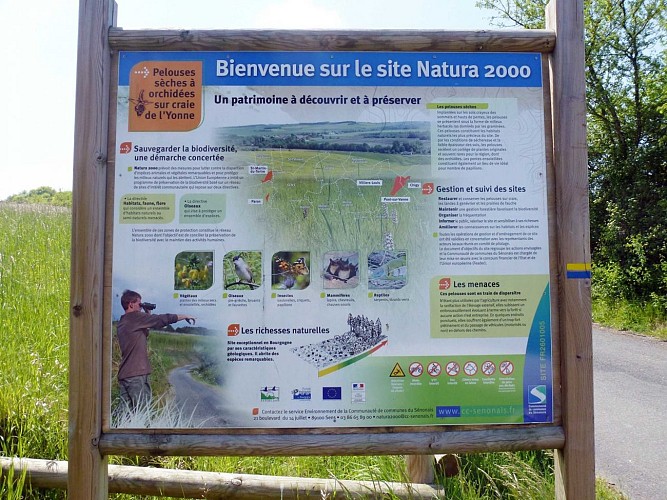 ZONE NATURA 2000 DE SAINT-MARTIN-DU-TERTRE