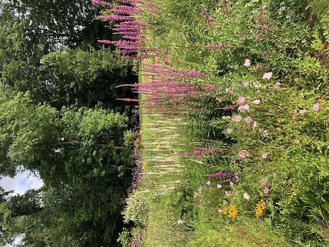 PARC DU CHÂTEAU DE COURTEROLLES